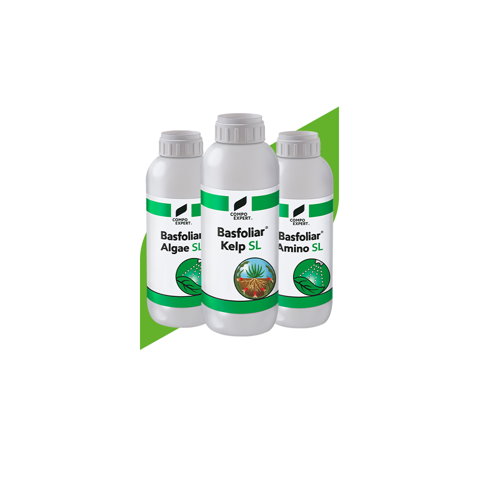 Biostimulants-Basfoliar-MX