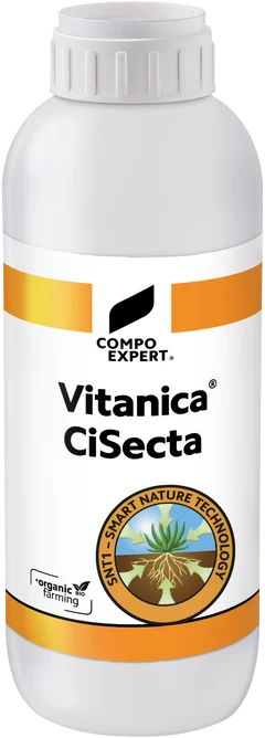Vitanica CiSecta