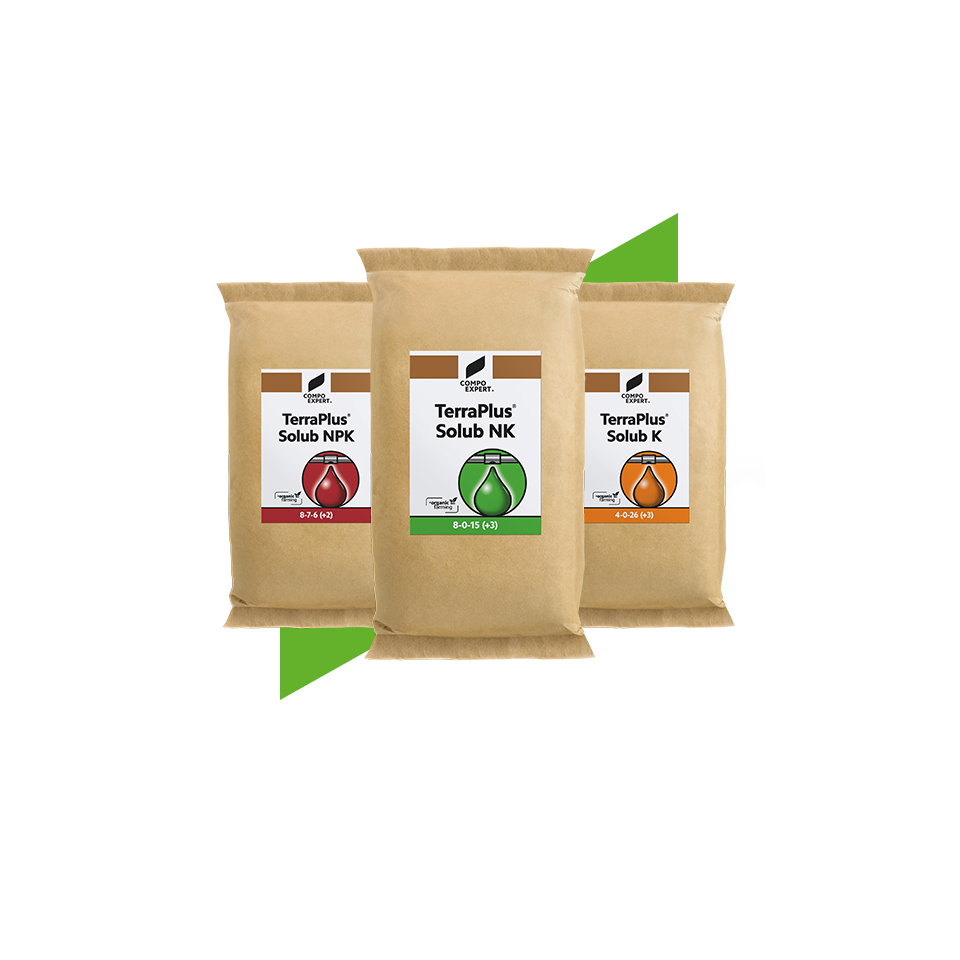 Organic and Organic-Mineral Fertilizers-Terraplus Solub