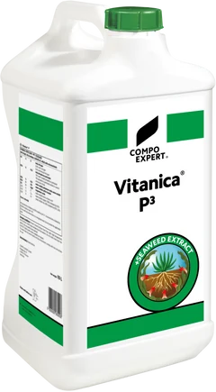 Vitanica P3