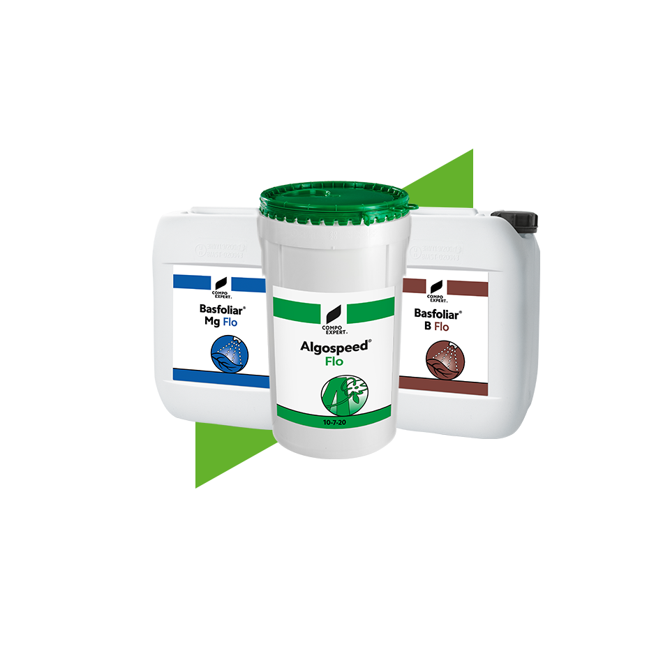 Fertilizer Suspensions-FR