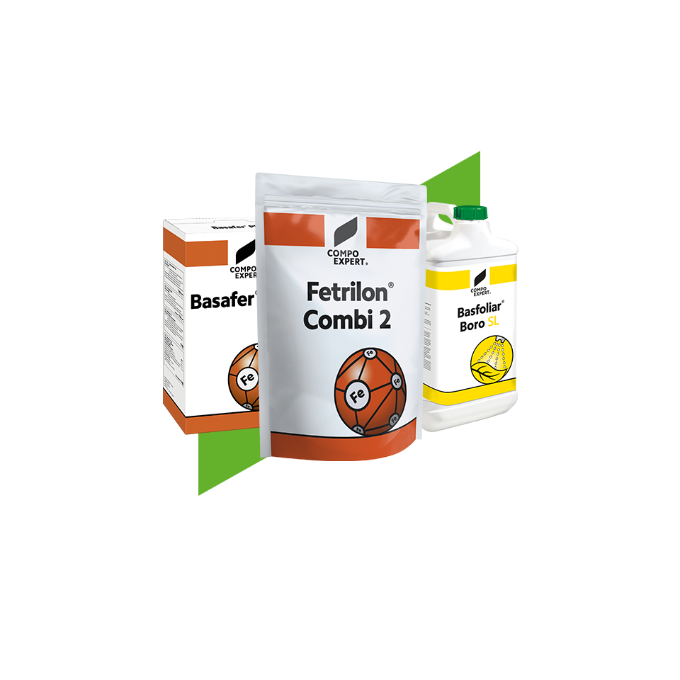 Micronutrient Fertilizers