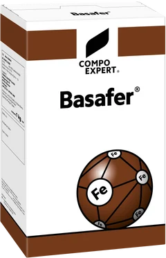 Basafer