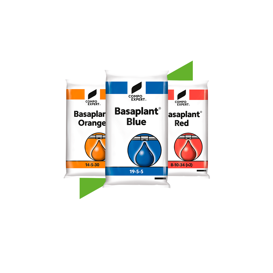 Water Soluble Fertilizers-Basaplant-ES