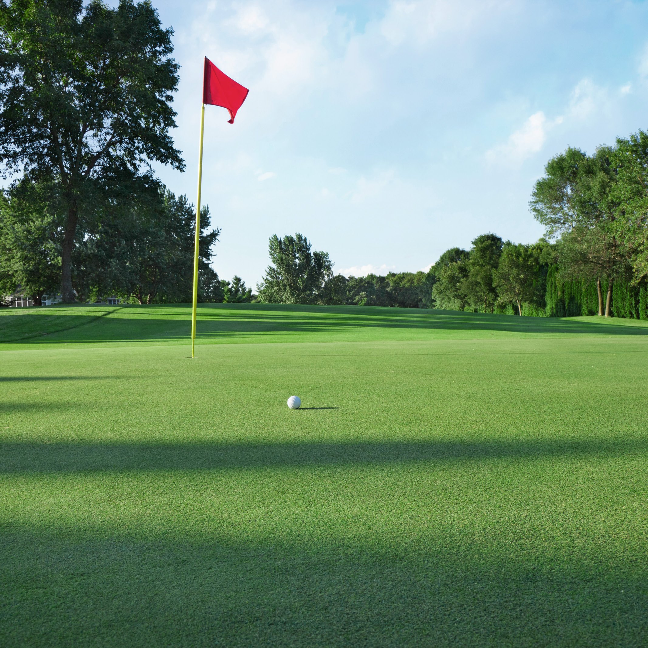 turf-public-green-golf green