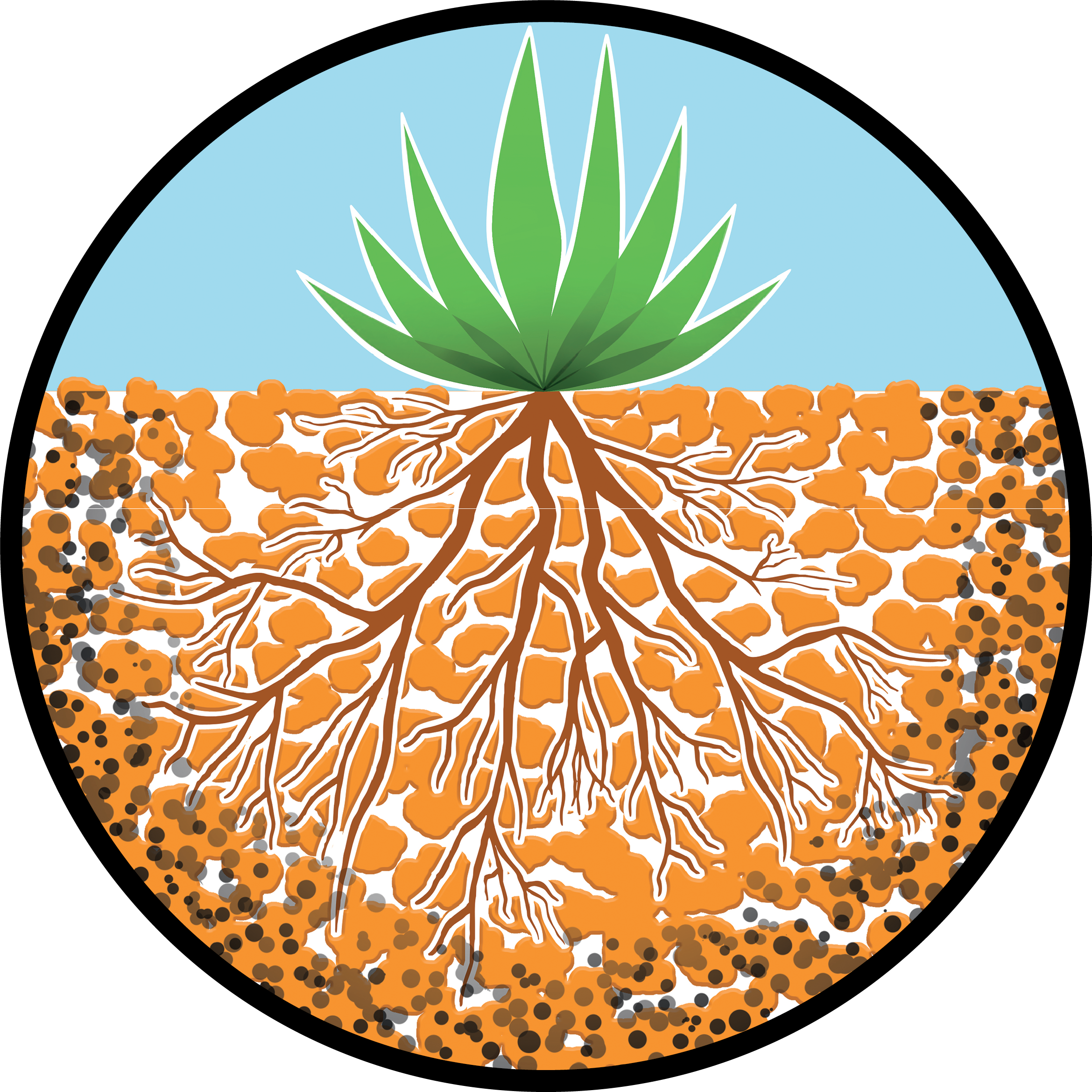 KV Basfoliar Black SL