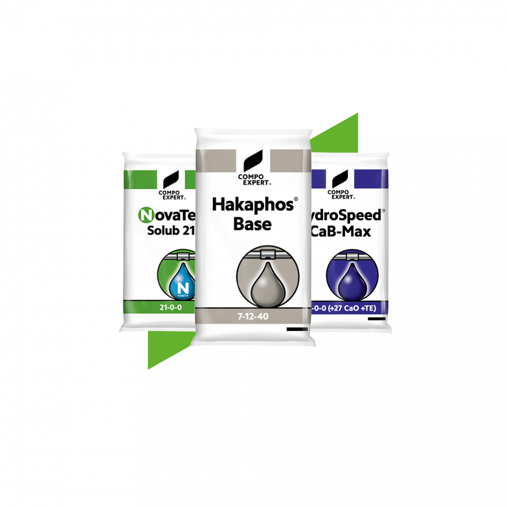 Water Soluble Fertilizers-MX