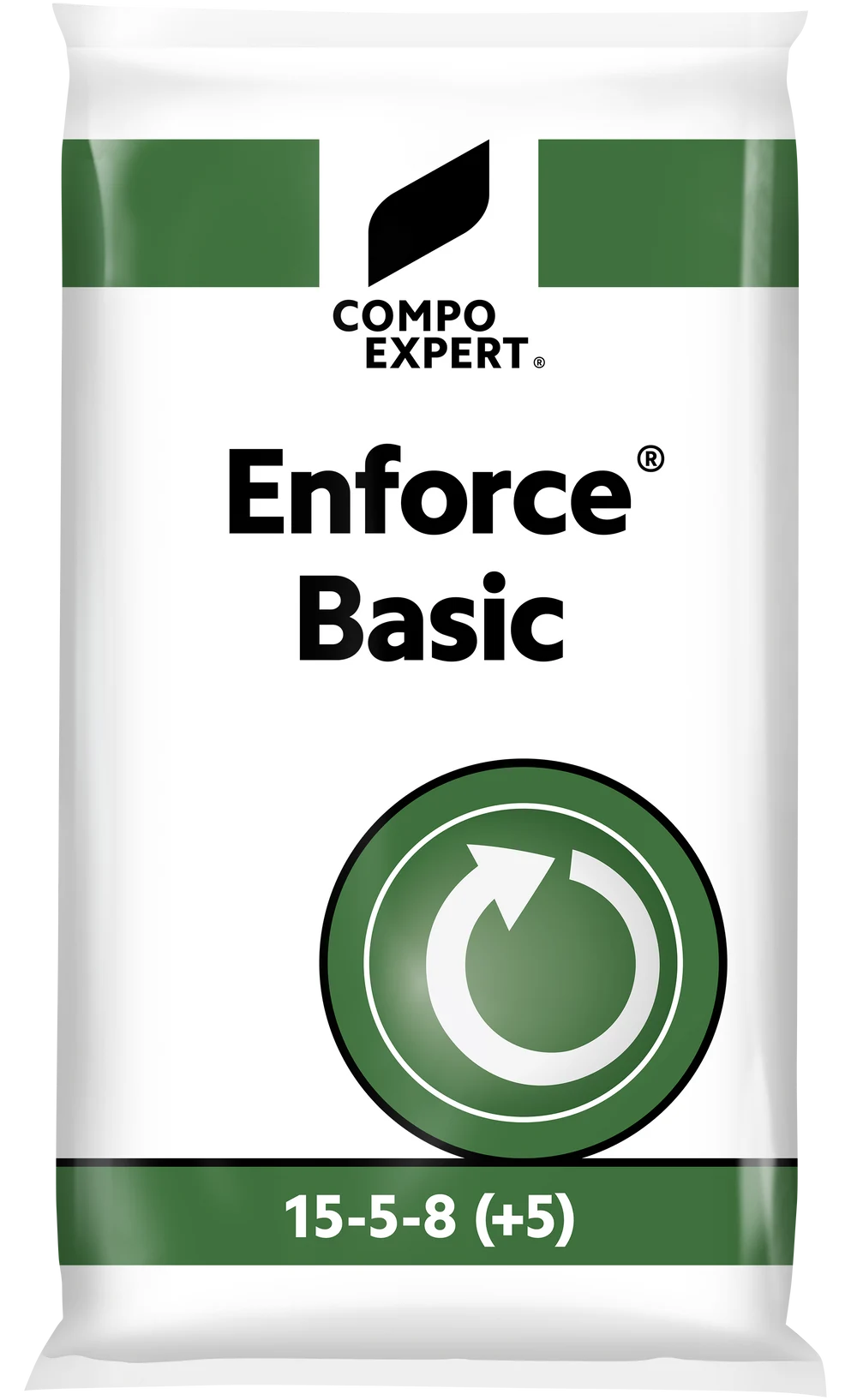 Enforce Basic (ib) 15-5-8