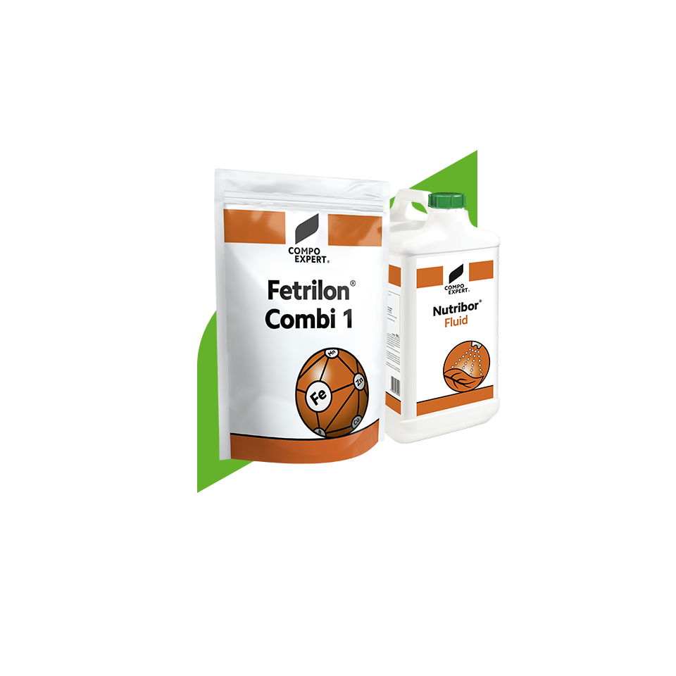 Micronutrient Fertilizers-BE