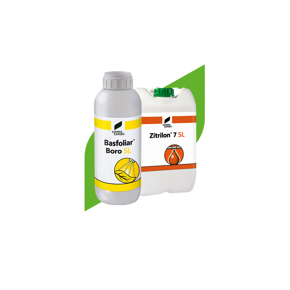 Micronutrient Fertilizers-Nutritrace Elements-MX