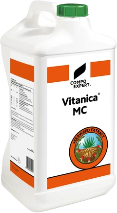 Vitanica MC
