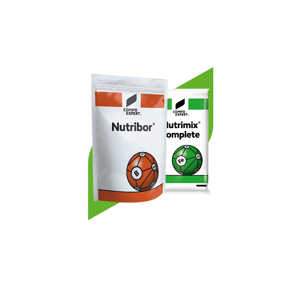 Micronutrient Fertilizers-Nutritrace Elements-IT