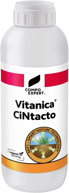 Vitanica CiNtacto