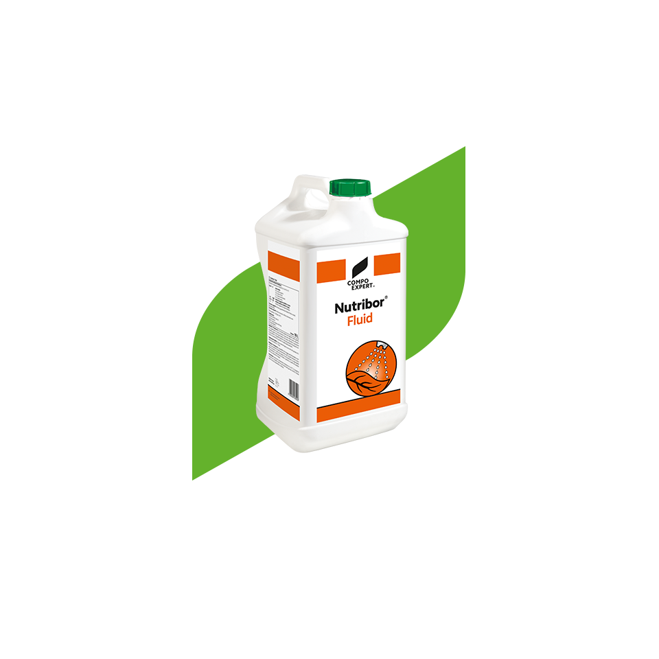 Micronutrient Fertilizers-Nutritrace Elements-NL