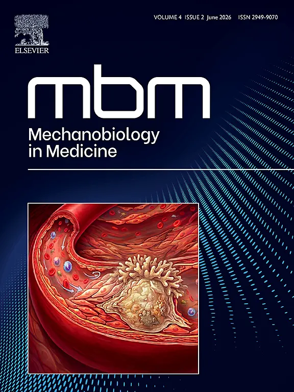 journal of mbm