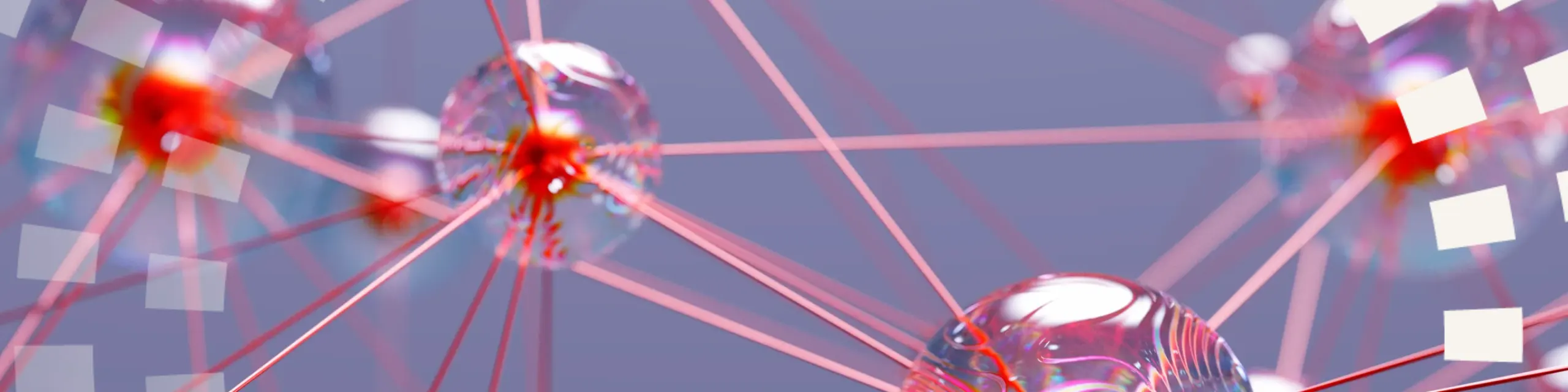 A series of connected cells