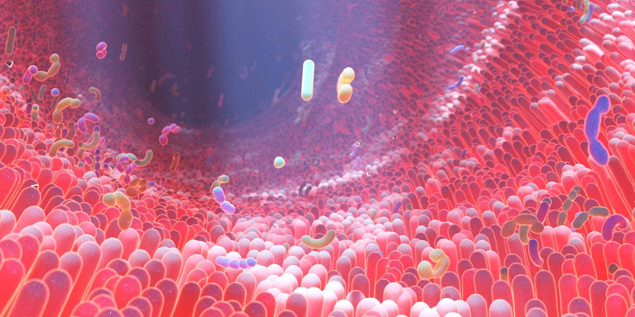 Human microbiome
