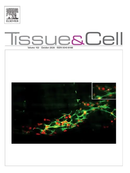 Conference - International Conference on Mechanobiology - Tissue and Cell