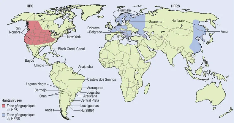 Hantavirus-distribution-géographique