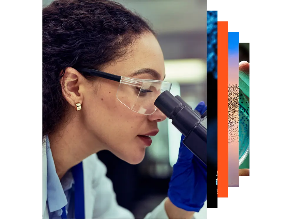 Female scientist wearing safety goggles and gloves analysing medical test samples on a microscope in a lab