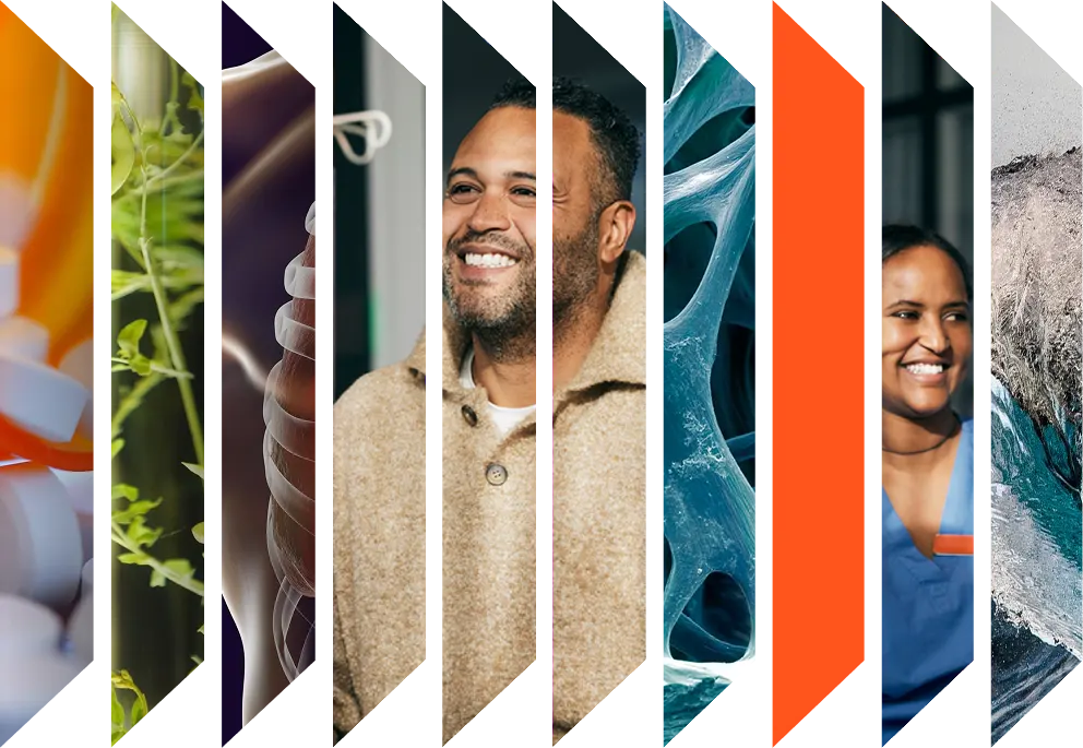 Colourful accordion of various health images