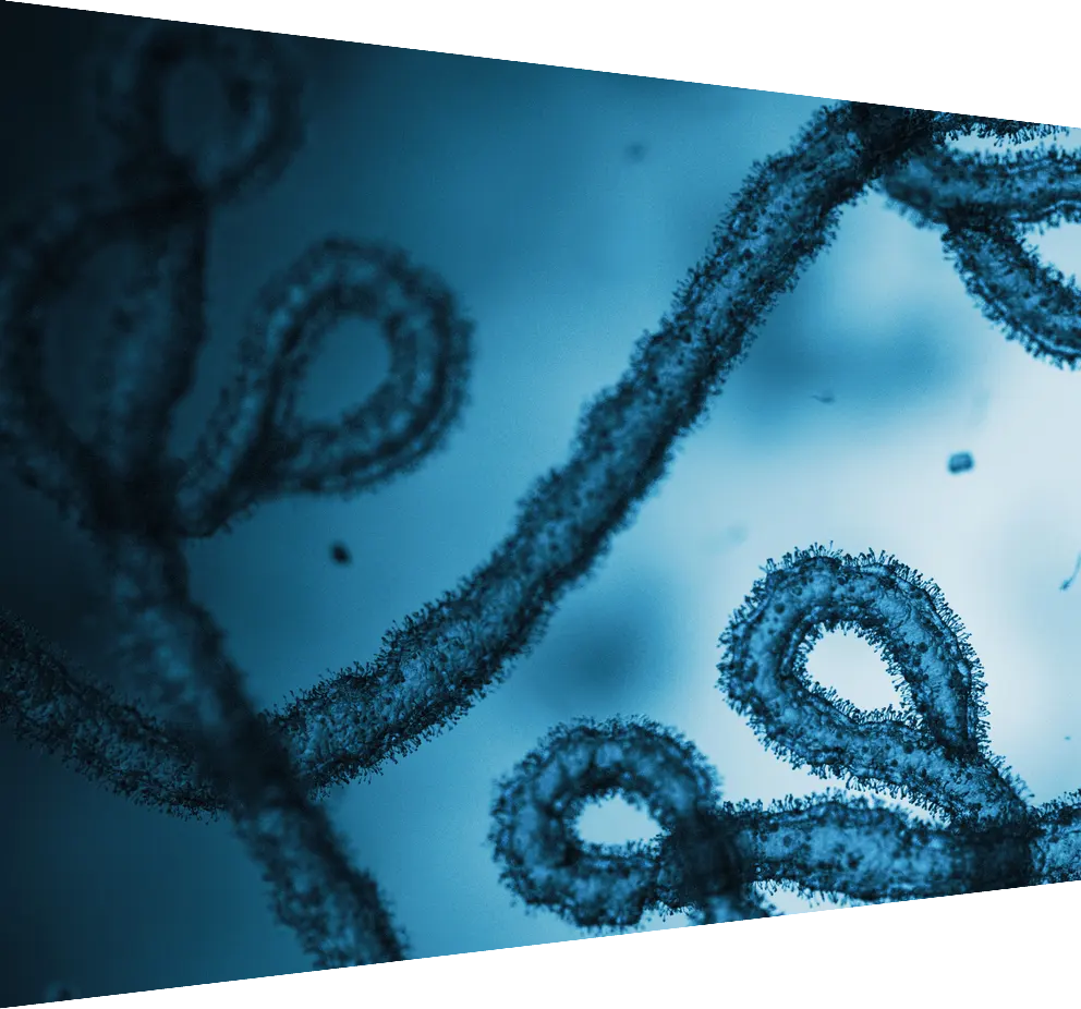 Health care hub - ebola image - header