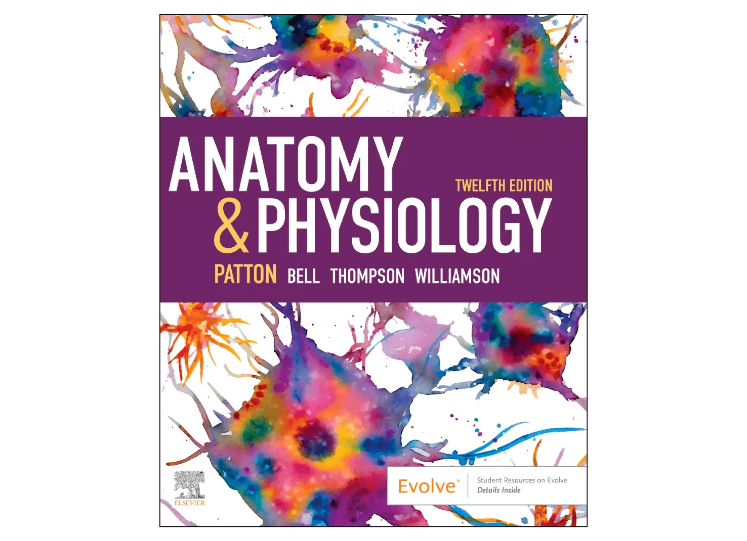 Author Q&A Massage Therapy Principles and Practice, 8th Edition - Cover