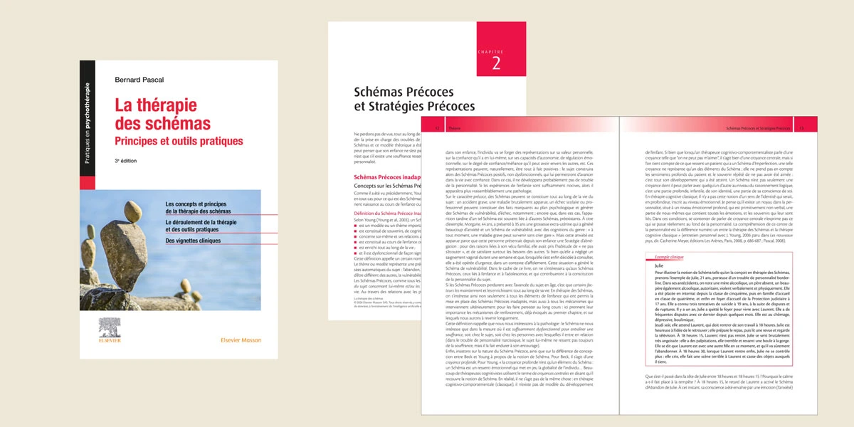 la-theorie-des-schemas