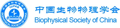 International Conference on Mechanobiology - Support by - BSC