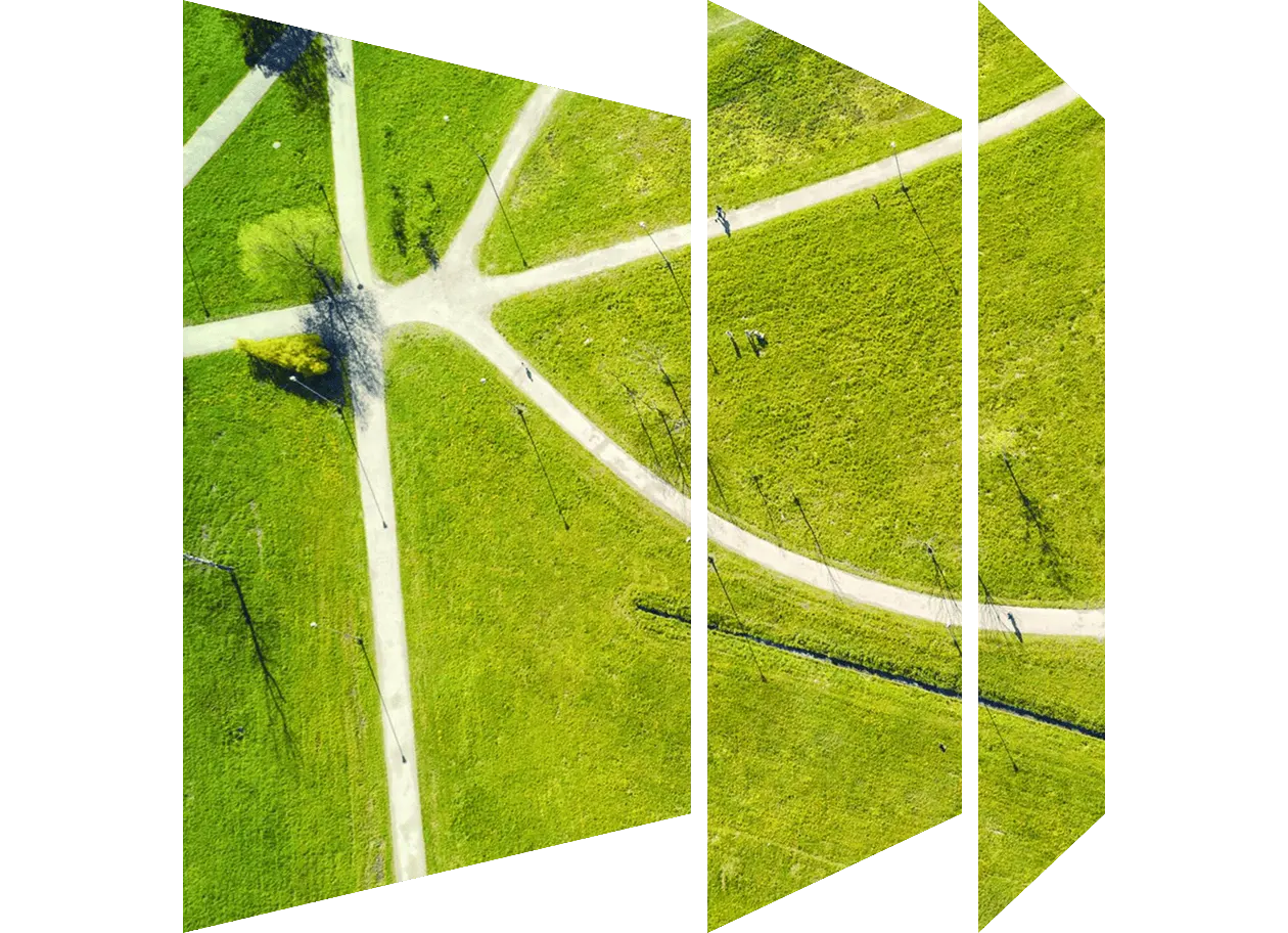 Aerial view of paths in a green summer park