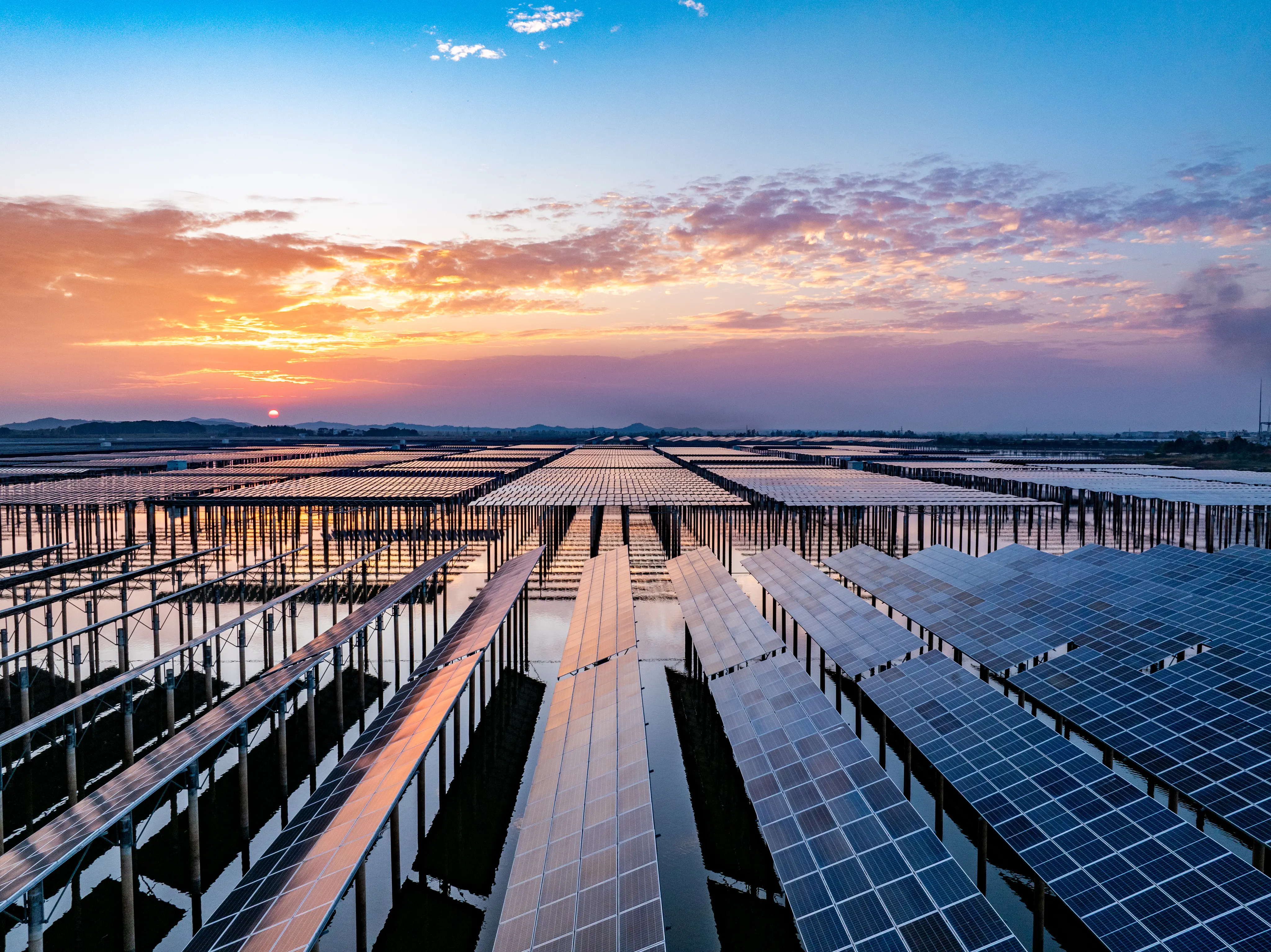 Solar panel farm at sunset