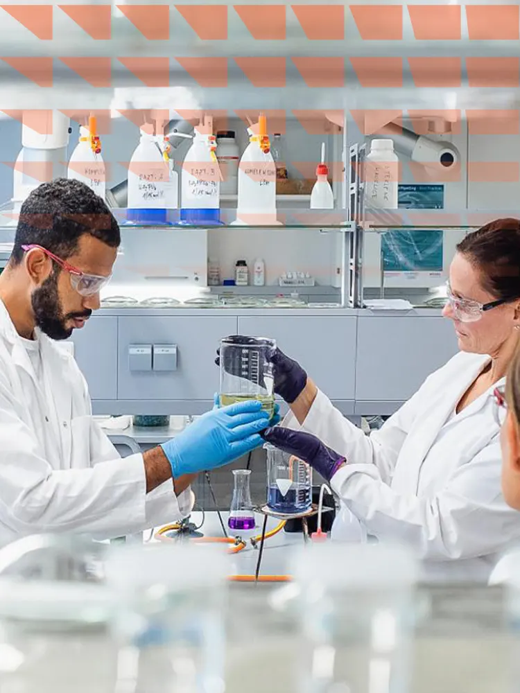 Group of scientists working in a laboratory