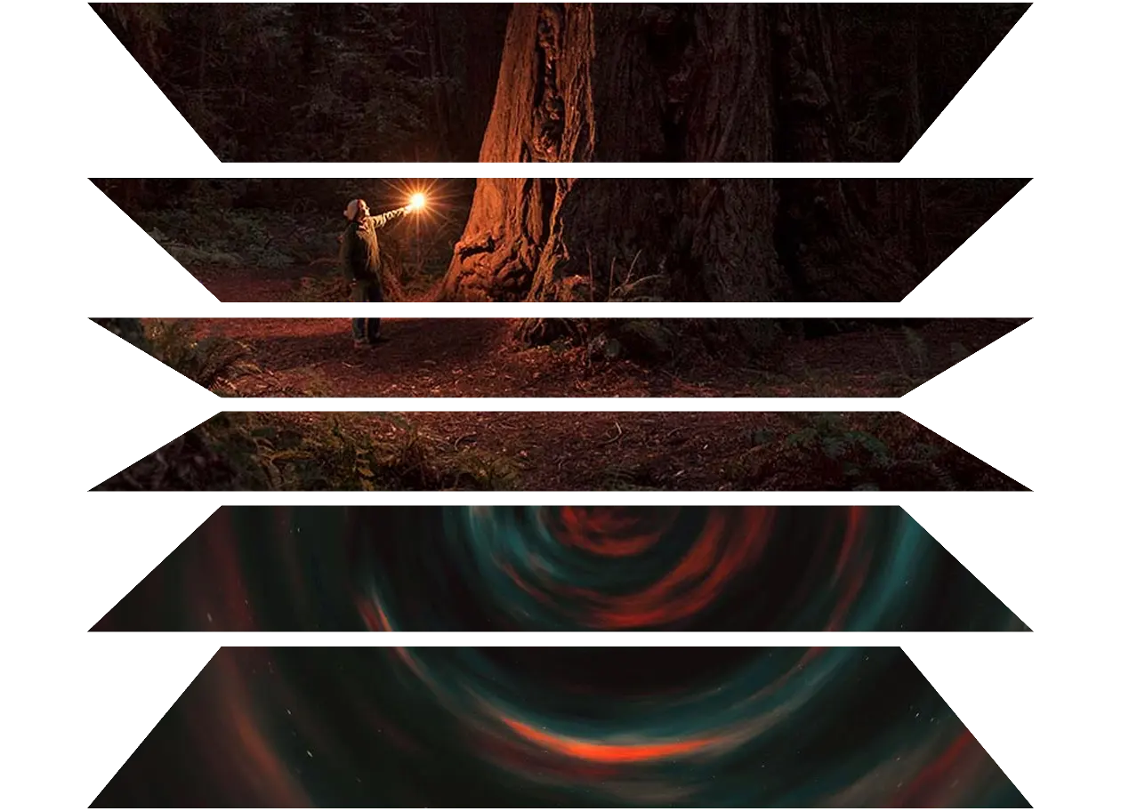 Person holding light by tree