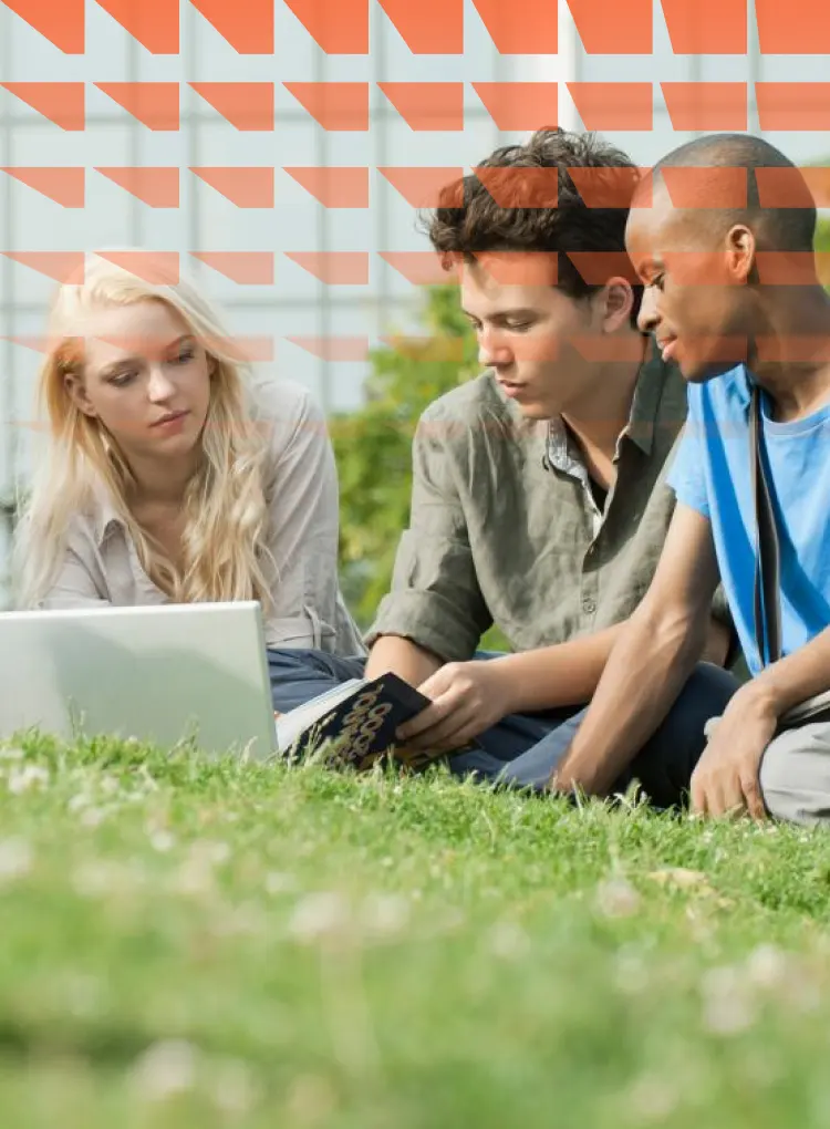 University students studying on grass