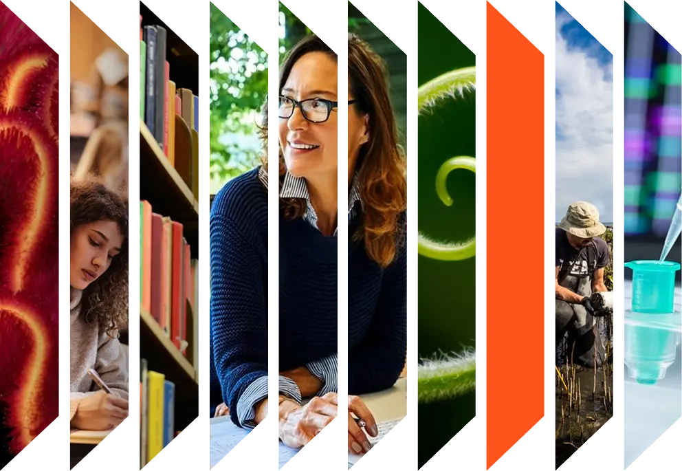 Colourful accordion of various images