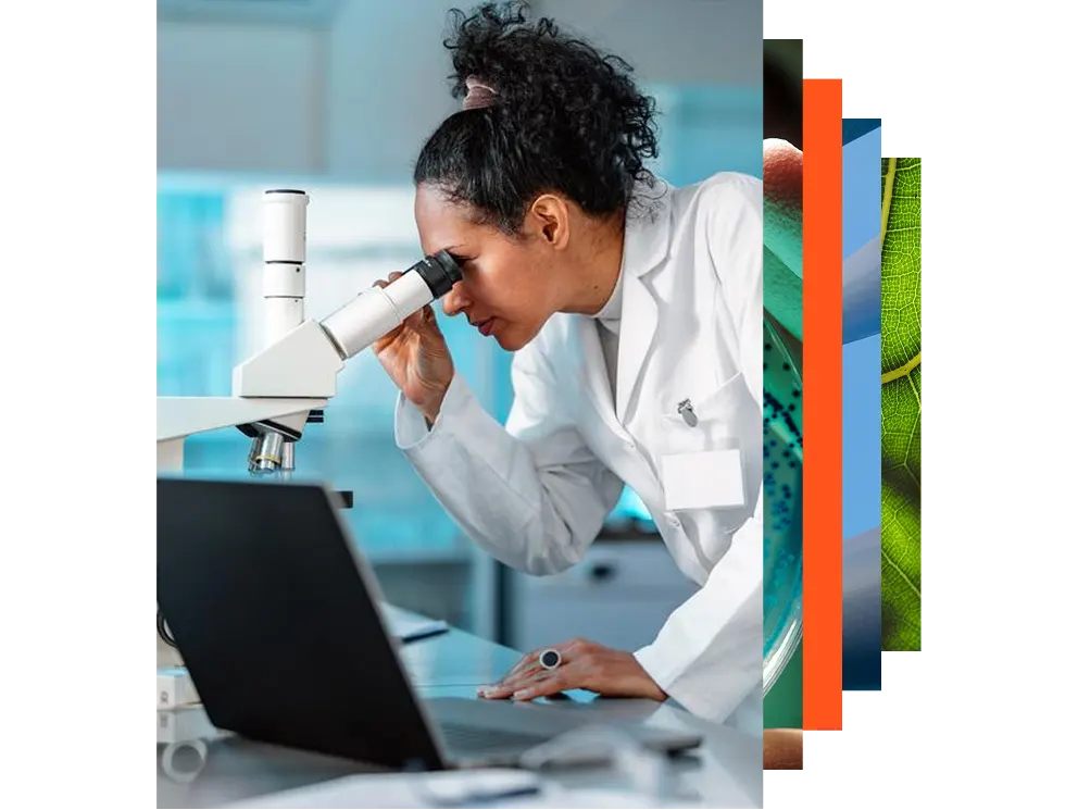 Mature scientists working together in a lab