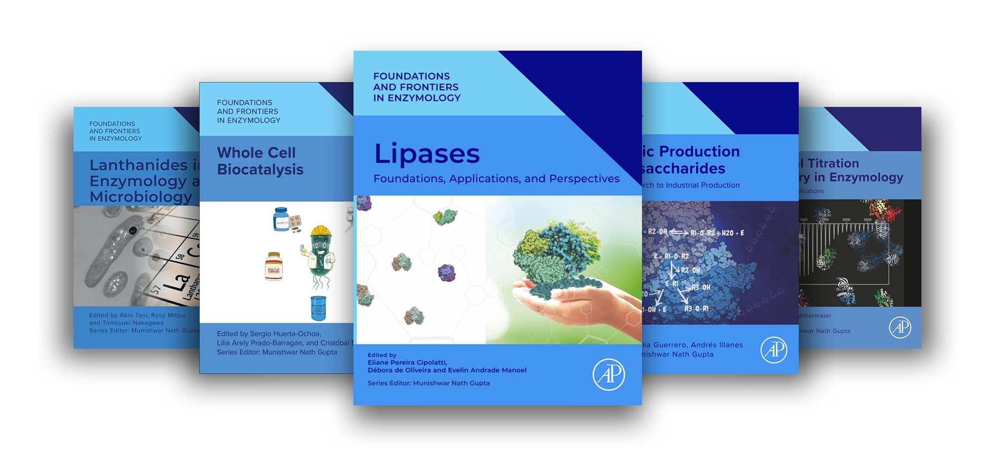 Foundations and Frontiers in Enzymology volume banner