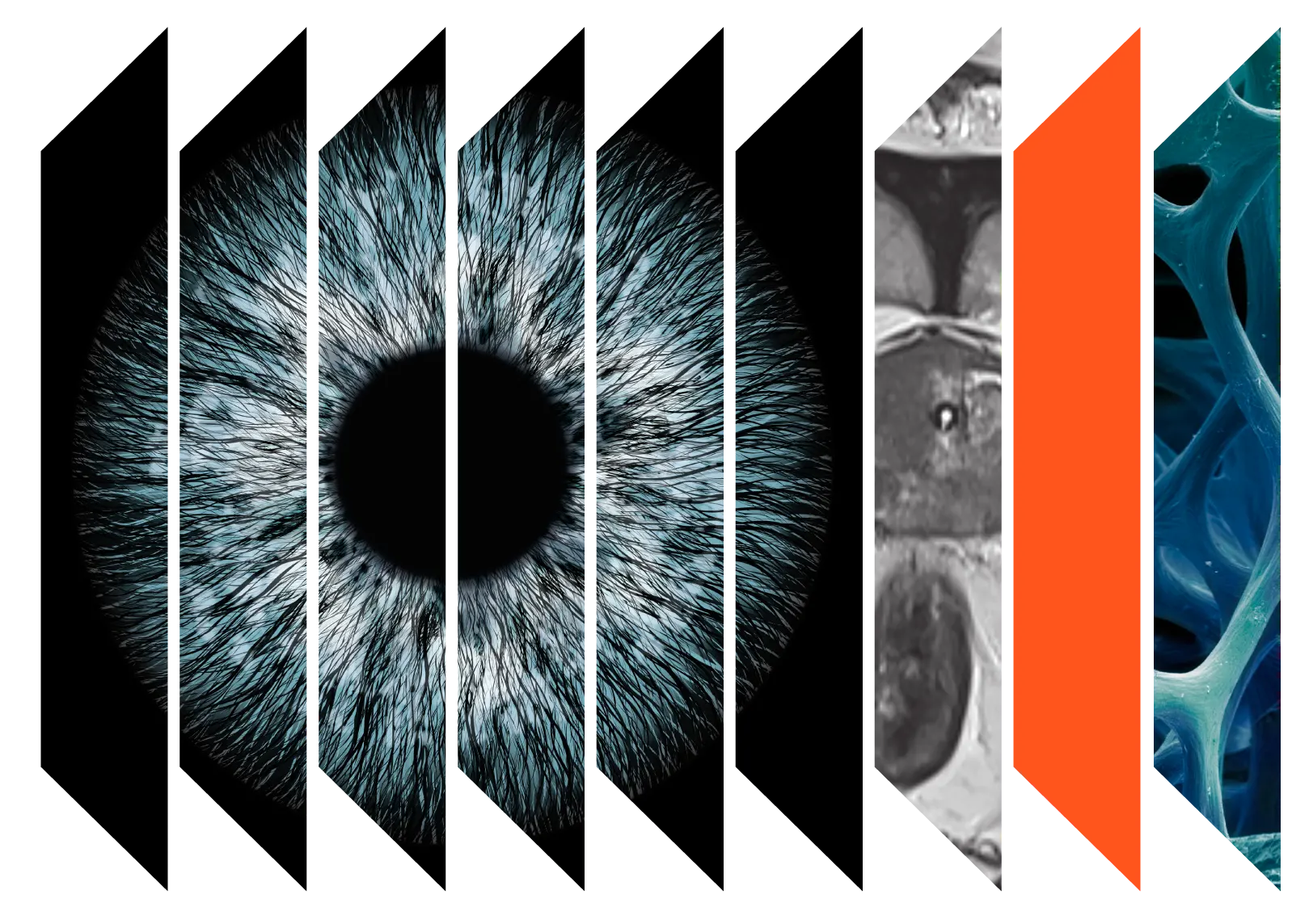 Enhance your classroom and support students curriculum integration.