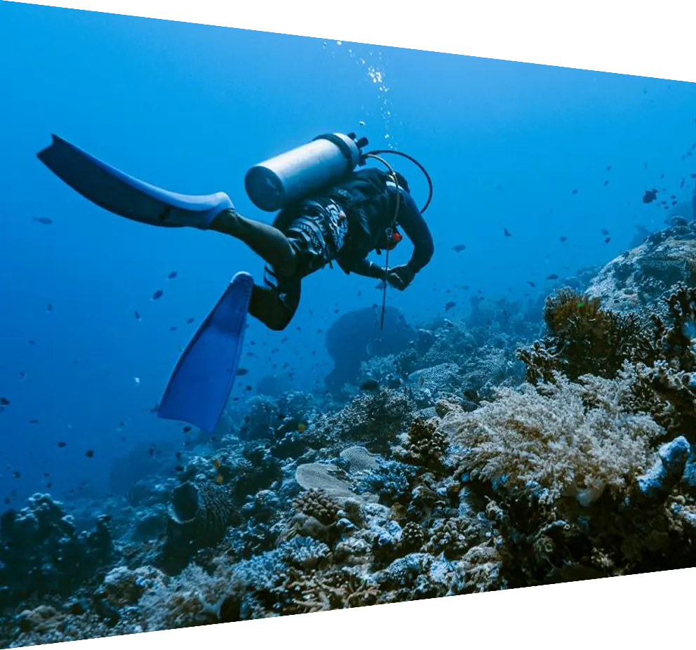 Diver exploring a reef at Banda Sea, Indonesia