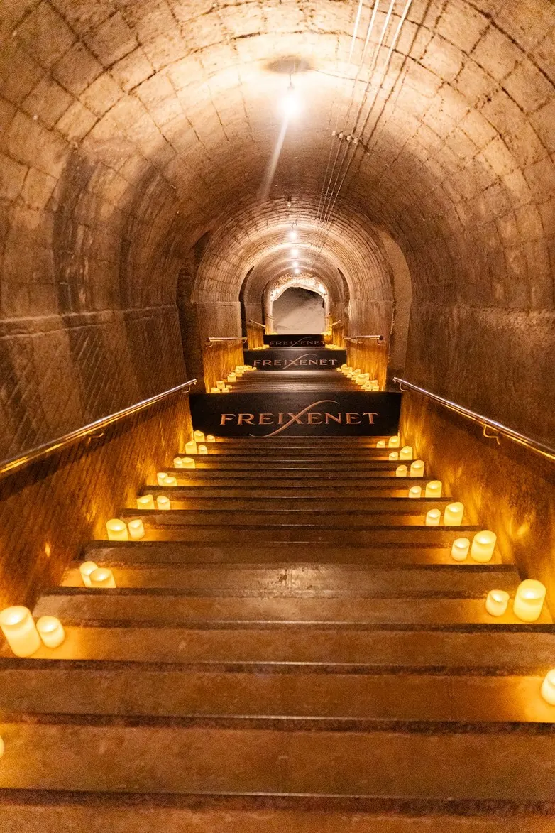 Freixenet Winery 