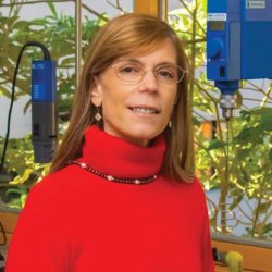 Andrea Gomez-Zavaglia