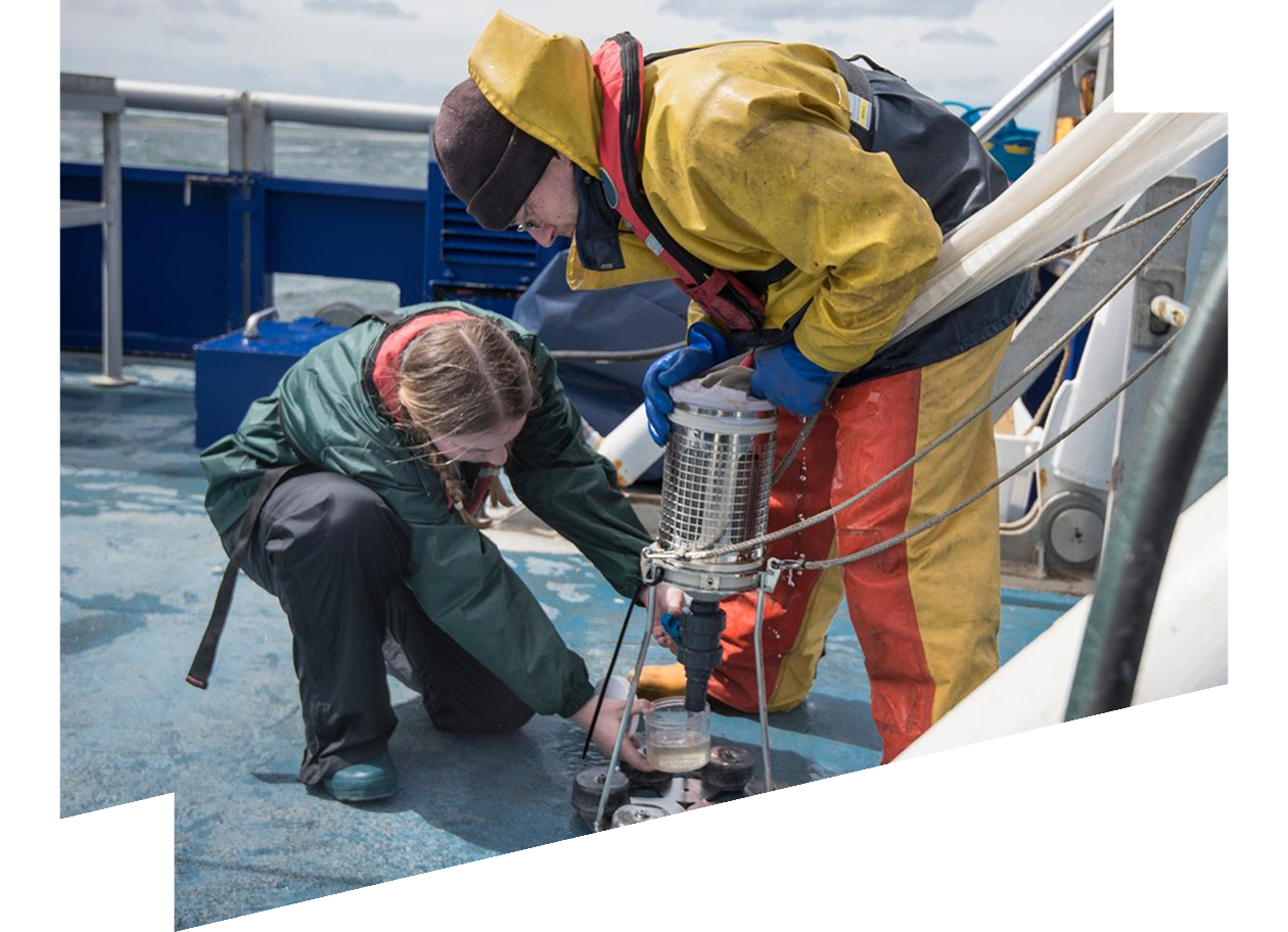 Marine biologist taking plankton samples from net on research ship