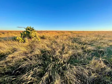 Landscape in rural Australia, taken by A/Prof Skye Marshall, while travelling between rural communities in Queensland.