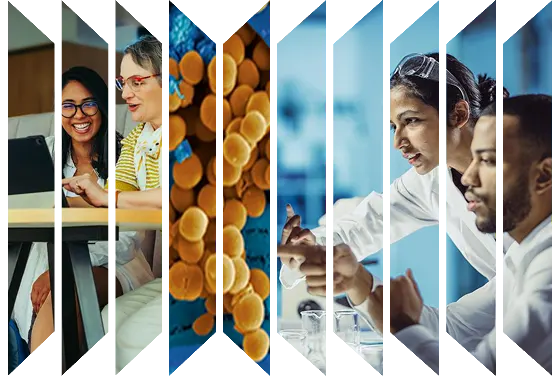 Colourful accordion of various images