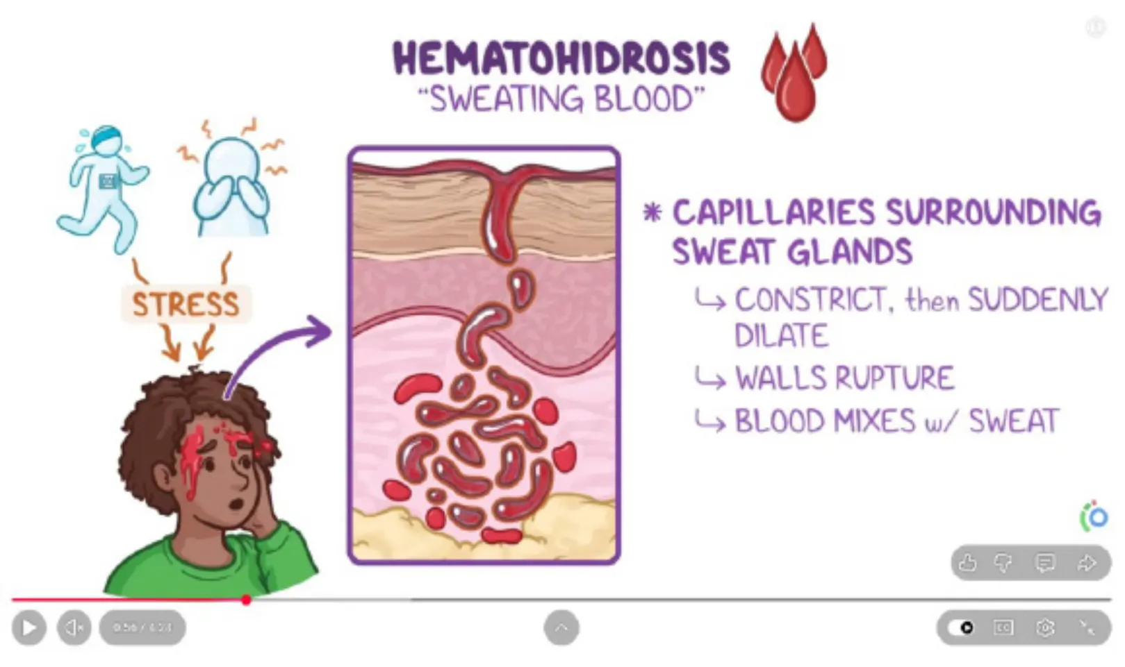 Help your students think clinically | Osmosis Clinical Sciences Demonstration and Panel Discussion