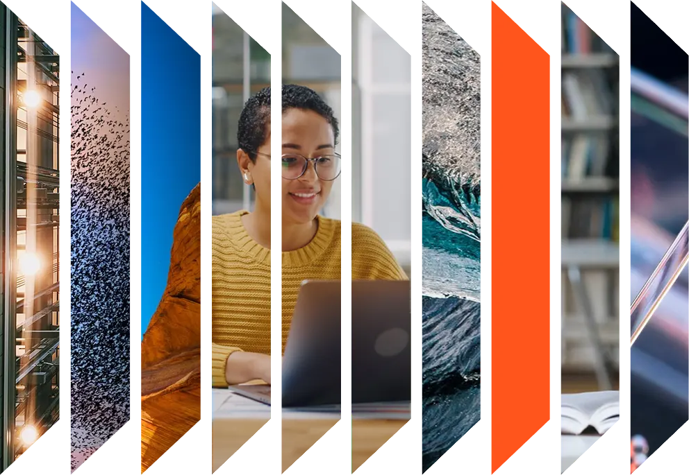 Colourful accordion of various images