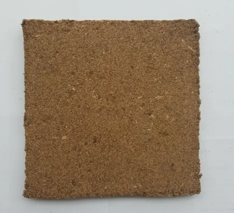 A sawdust-natural rubber latex composite sheet developed by Prof. Mudiyanselage and Dr. Jeewandara, a sustainable alternative to conventional wood-based panels