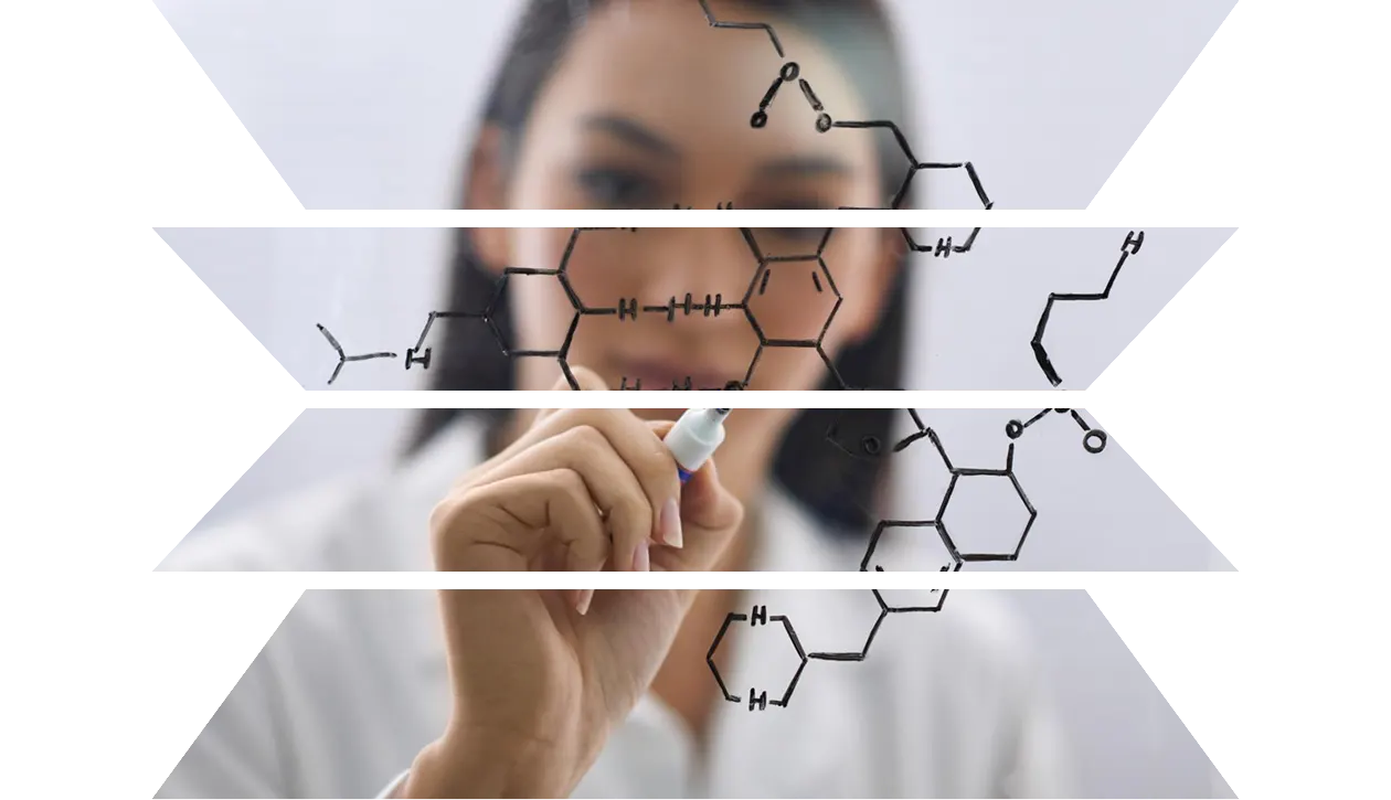 Chemistry 101 with Reaxys