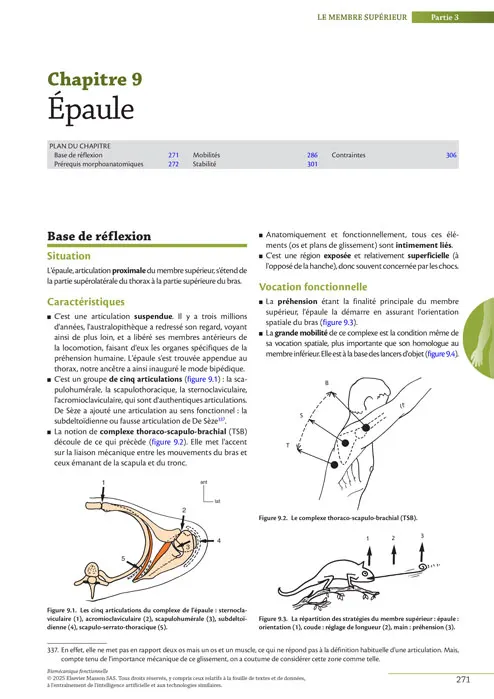 9782294785542-épaule-1_494