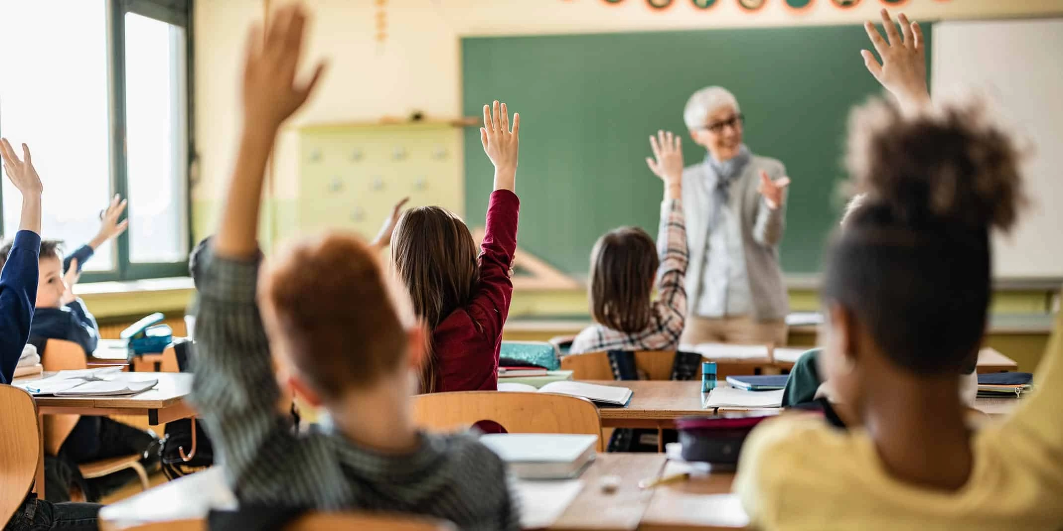 Rear-view-of-elementary-students-raising-hands-on-a-class_large